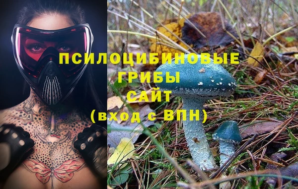 прущий лед Карпинск