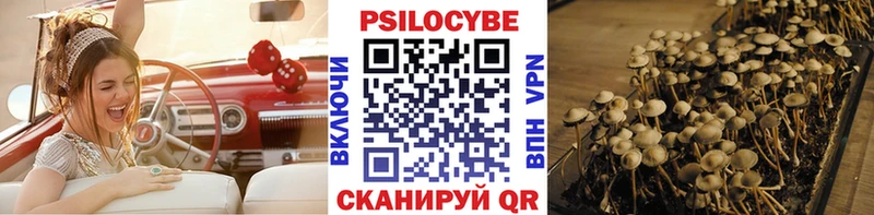 Галлюциногенные грибы Psilocybe  Купить где  Духовщина 